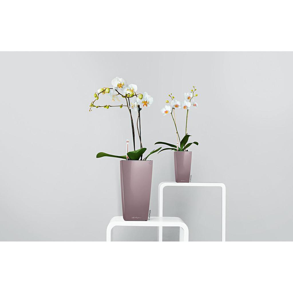 Lechuza Table Planters MAXI-CUBI all in one