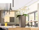 Lechuza Table Planters MAXI-CUBI all in one