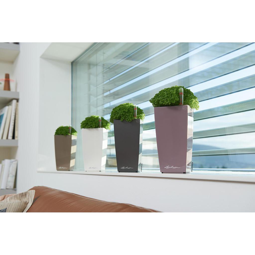 Lechuza Table Planters MAXI-CUBI all in one