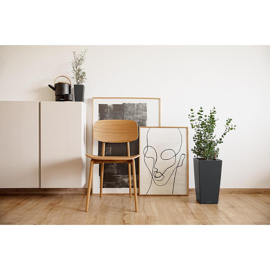 Lechuza Table Planters MAXI-CUBI all in one