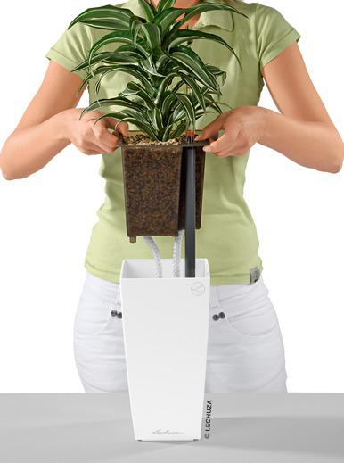 Lechuza Table Planters MAXI-CUBI all in one