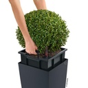 Lechuza Trend Collection CUBICO Color 22 all in one sandbraun