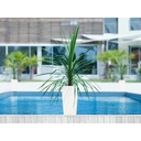 Lechuza Trend Collection CUBICO Color 30 all in one