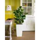 Lechuza Trend Collection CUBICO Color 30 all in one