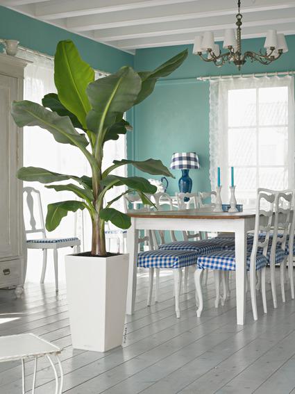 Lechuza Trend Collection CUBICO Color 30 all in one