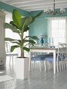 Lechuza Trend Collection CUBICO Color 30 all in one