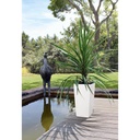 Lechuza Trend Collection CUBICO Color 40 all in one
