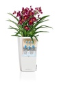 Lechuza Trend Collection CUBICO Color 22 all in one