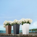 Lechuza Trend Collection CUBICO Color 22 all in one