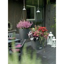 Lechuza Trend Collection NIDO Cottage 28 all in one sandbraun