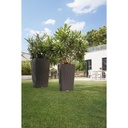 Lechuza Trend Collection CUBICO Cottage 30 all in one lichtgrau