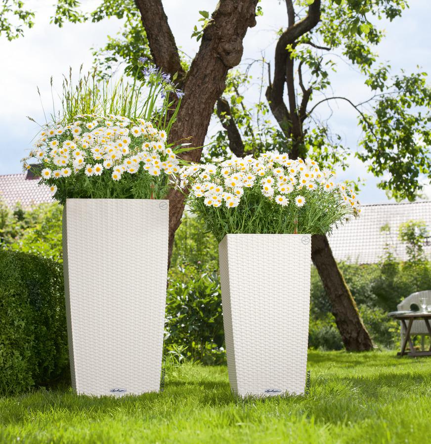 Lechuza Trend Collection CUBICO Cottage 30 all in one lichtgrau