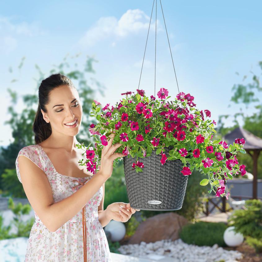 Lechuza Trend Collection NIDO Cottage 28 all in one