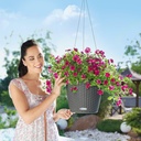 Lechuza Trend Collection NIDO Cottage 28 all in one