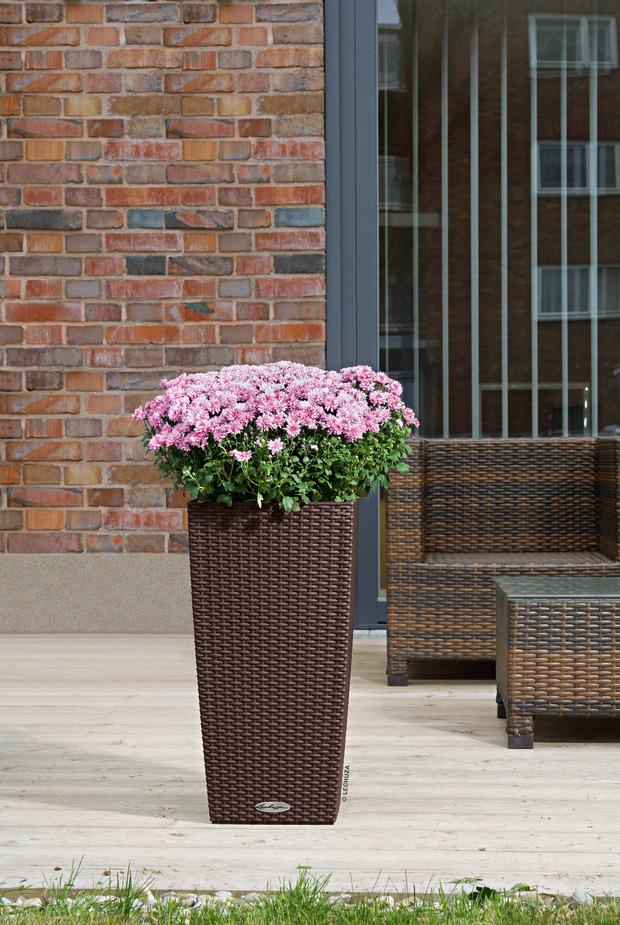 Lechuza Trend Collection CUBICO Cottage 30 all in one