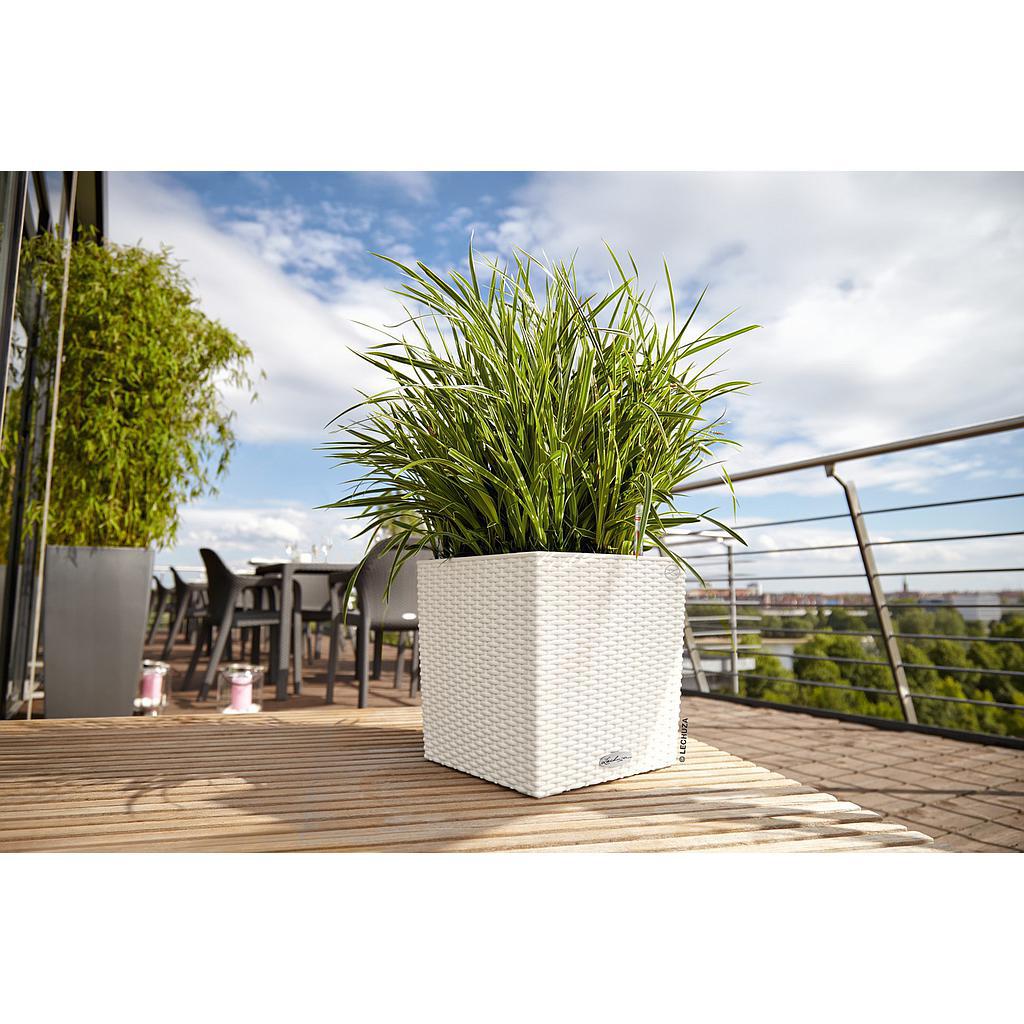 Lechuza Trend Collection CUBE Cottage 30 all in one