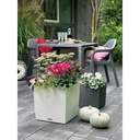 Lechuza Trend Collection CUBE Cottage 30 all in one