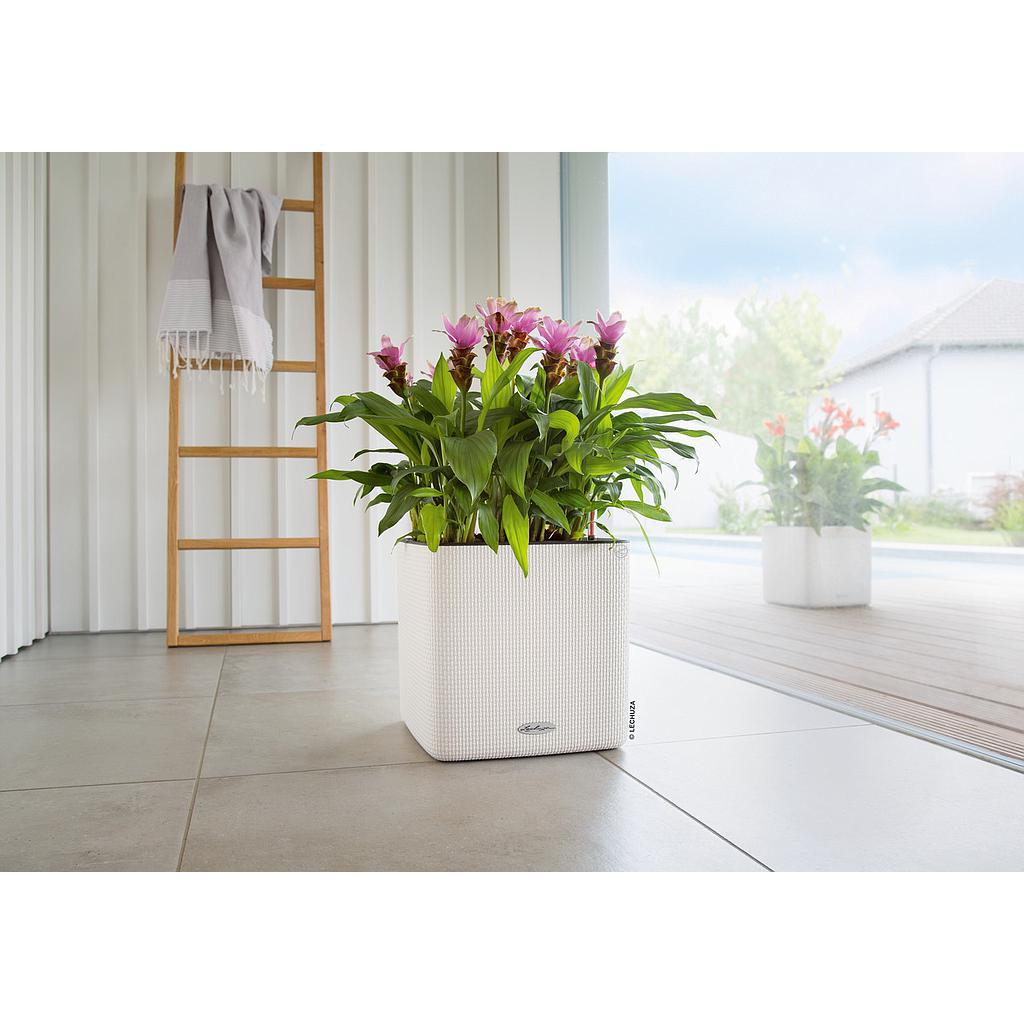 Lechuza Trend Collection CUBE Cottage 30 all in one