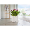 Lechuza Trend Collection CUBE Cottage 30 all in one