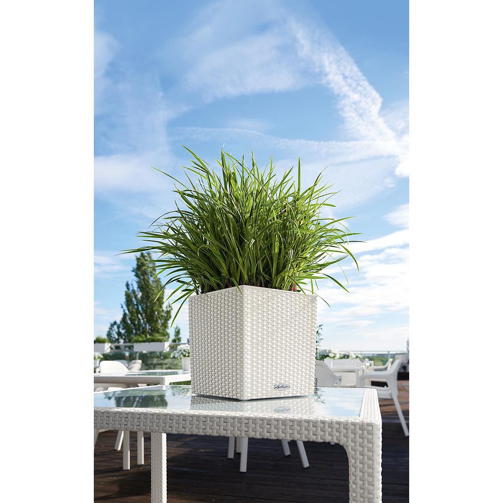 Lechuza Trend Collection CUBE Cottage 30 all in one