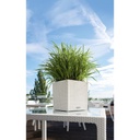 Lechuza Trend Collection CUBE Cottage 30 all in one