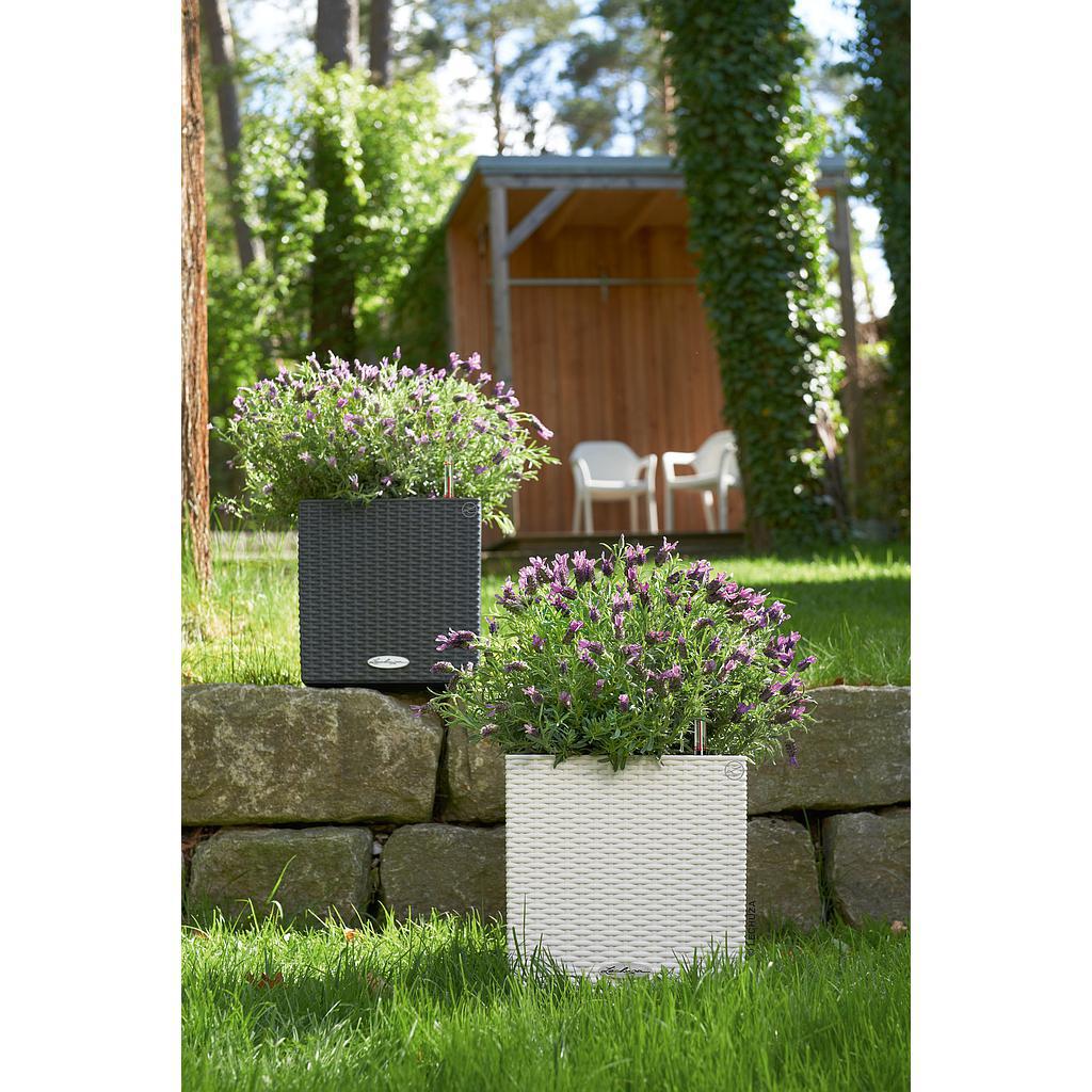 Lechuza Trend Collection CUBE Cottage 30 all in one