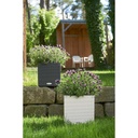 Lechuza Trend Collection CUBE Cottage 30 all in one