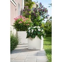 Lechuza Trend Collection CUBE Cottage 40 all in one
