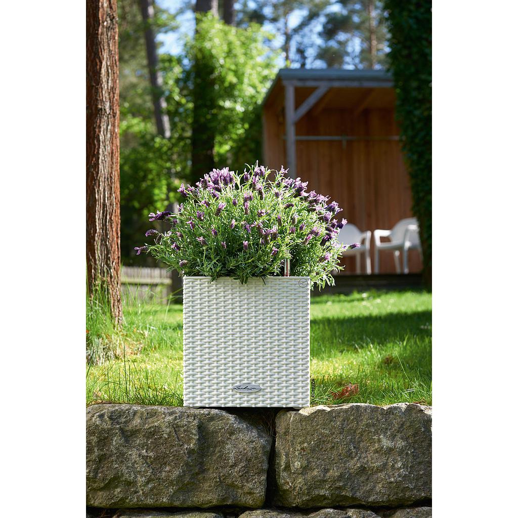 Lechuza Trend Collection CUBE Cottage 40 all in one
