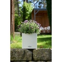 Lechuza Trend Collection CUBE Cottage 40 all in one