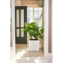 Lechuza Trend Collection CUBE Cottage 40 all in one