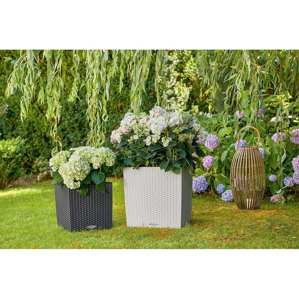Lechuza Trend Collection CUBE Cottage 40 all in one
