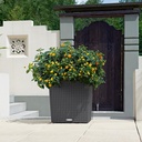 Lechuza Trend Collection CUBE Cottage 40 all in one