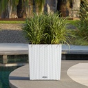 Lechuza Trend Collection CUBE Cottage 40 all in one