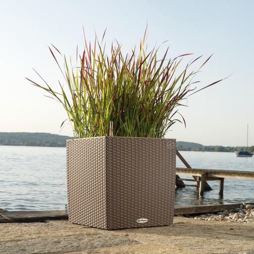 Lechuza Trend Collection CUBE Cottage 40 all in one lichtgrau
