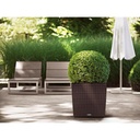 Lechuza Trend Collection CUBE Cottage 50 all in one