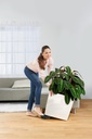 Lechuza Trend Collection CUBE Cottage 50 all in one