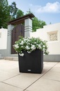 Lechuza Trend Collection CUBE Cottage 50 all in one sandbraun
