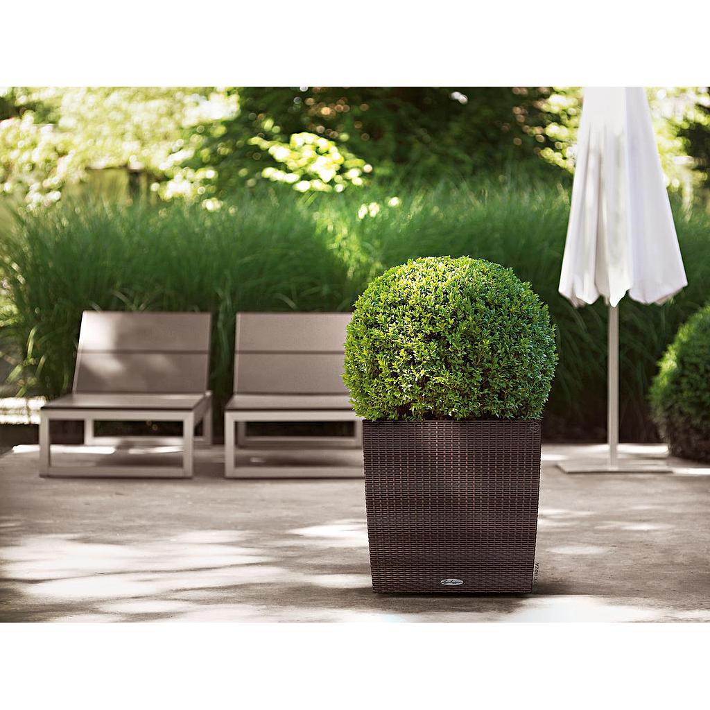 Lechuza Trend Collection CUBE Cottage 50 all in one lichtgrau