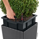 Lechuza Trend Collection CUBE Cottage 50 all in one lichtgrau