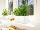 Lechuza CUBE Color 14 all in one sandbraun