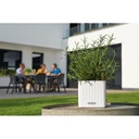 Lechuza CUBE Color 14 all in one sandbraun