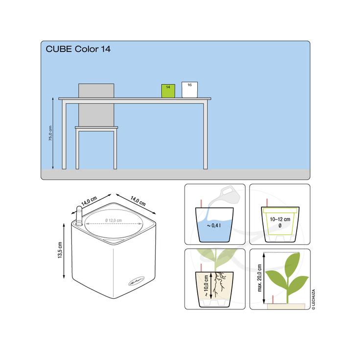 Lechuza CUBE Color 14 all in one sandbraun