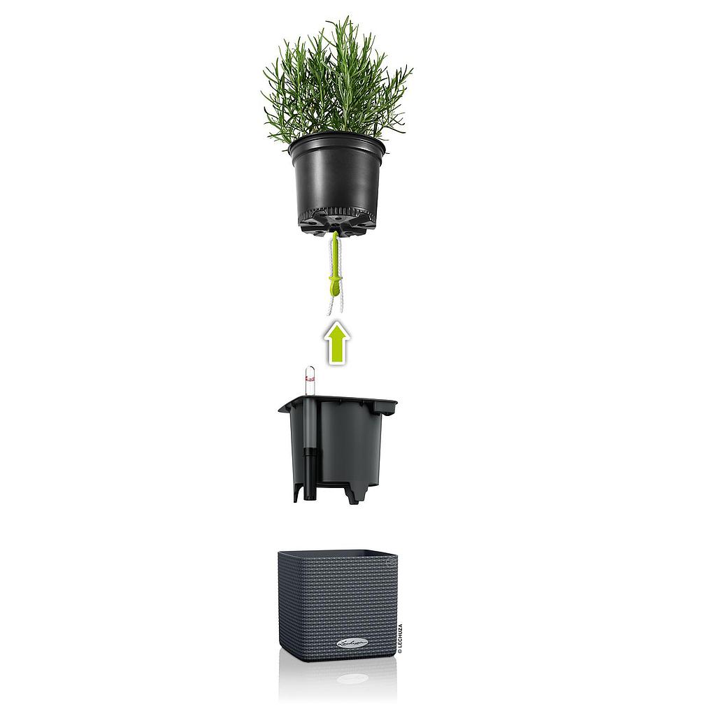 Lechuza CUBE Color 16 all in one sandbraun