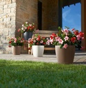 Lechuza Color CLASSICO 21 all in one