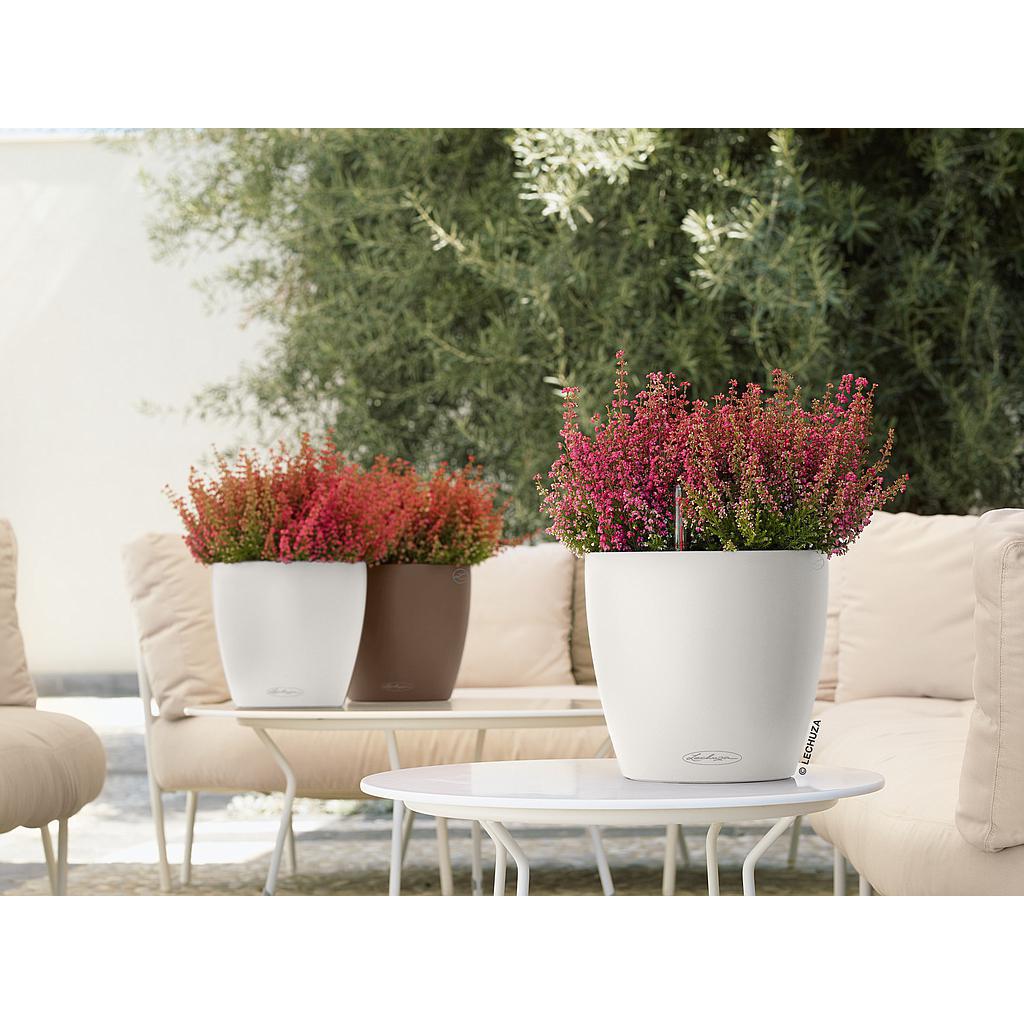 Lechuza Color CLASSICO 21 all in one