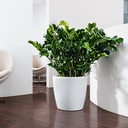 Lechuza Color CLASSICO 35 all in one