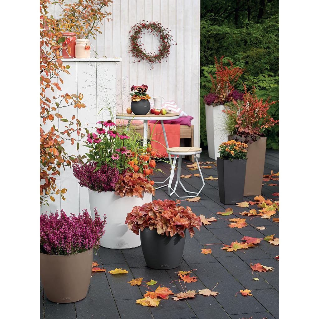 Lechuza Color CLASSICO 35 all in one
