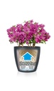 Lechuza Color CLASSICO 35 all in one