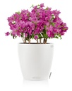 Lechuza Color CLASSICO 43 all in one